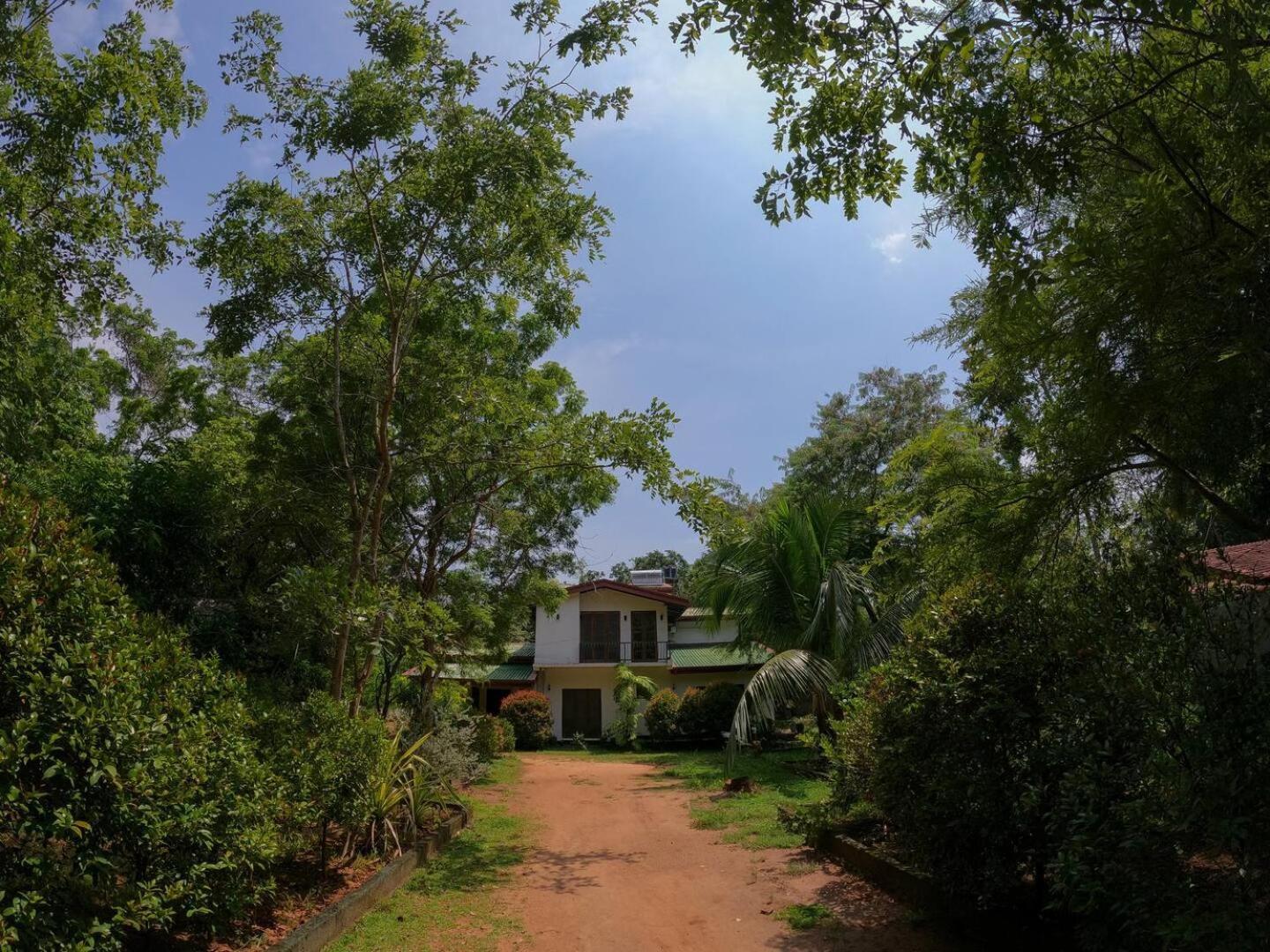 The Sigiriya White House Lägenhet Exteriör bild